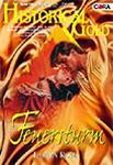 [Cover of Feuersturm]